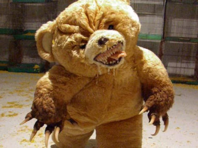 teddy the teddy bear